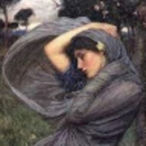 Meet your Posher, Michael and elizabeth